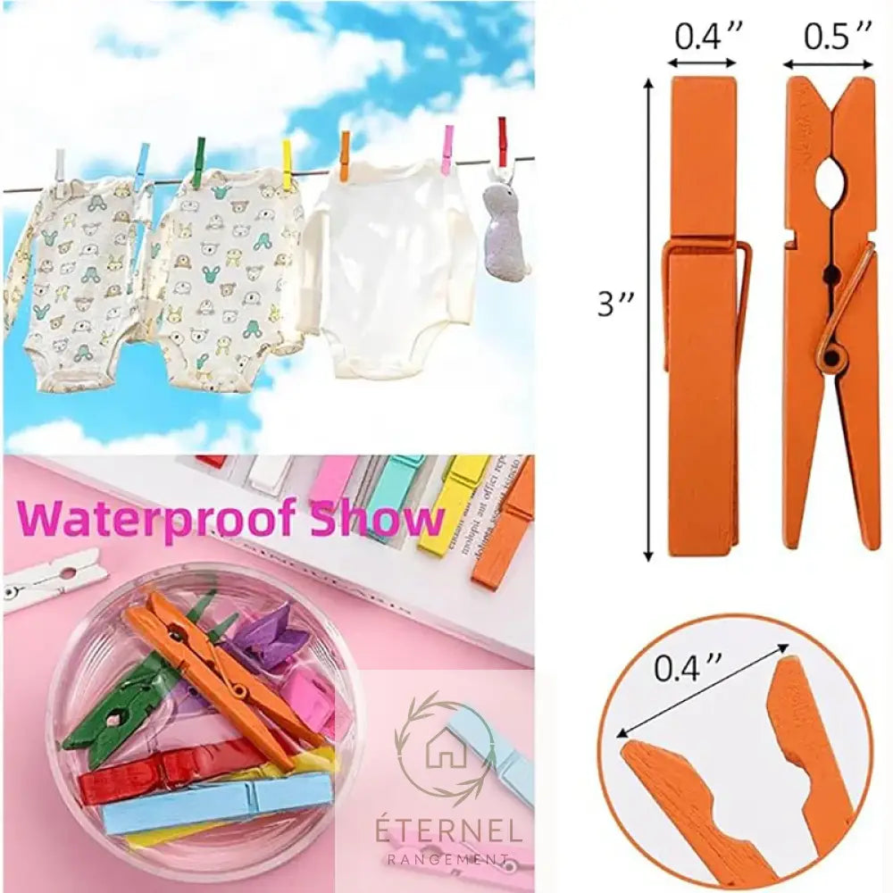 Pinces à linge en bois – solides durables et sans plastique (lot de 5 à 50 pièces)