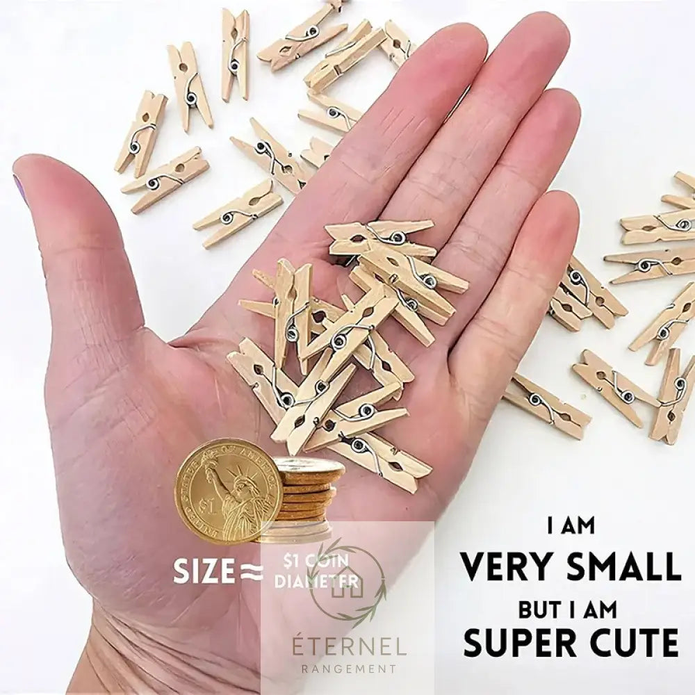 Pinces à linge en bois – solides durables et sans plastique (lot de 5 à 50 pièces)